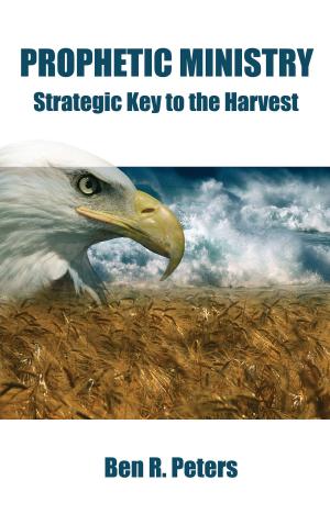 Book cover of Prophetic Ministry: Strategic Key to the Harvest