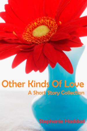 Cover of Other Kinds of Love: A Short Story Collection