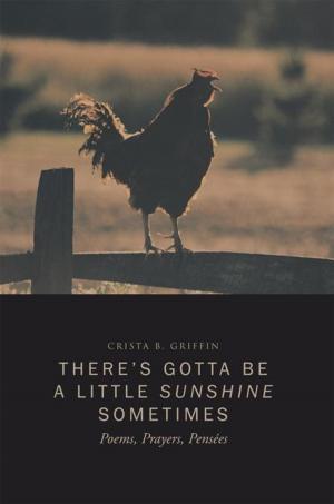 Cover of the book There’S Gotta Be a Little Sunshine Sometimes by “The Great” Kendreace! Miller
