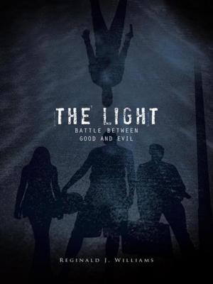 Cover of the book The Light by N. E. Glover