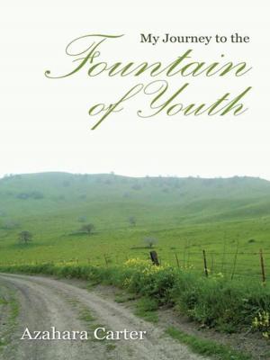 Book cover of My Journey to the Fountain of Youth