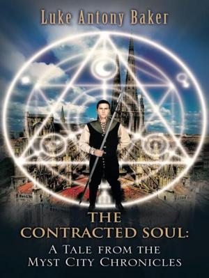 Book cover of The Contracted Soul: a Tale from the Myst City Chronicles