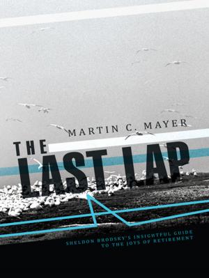 Cover of the book The Last Lap by Blake Parker