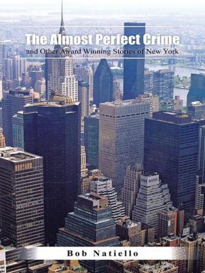 Cover of the book "The Almost Perfect Crime and Other Award Winning Stories of New York." by Andrea K. Vizenor
