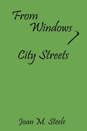 Cover of the book From Windows, City Streets by Hans U Juttner