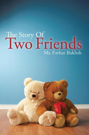 Cover of the book The Story of Two Friends by Heather Mcnierney