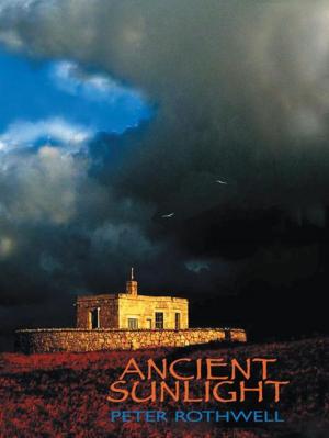 Cover of the book Ancient Sunlight by Ron Rossi