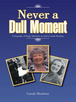 Cover of the book Never a Dull Moment by Christopher Joll
