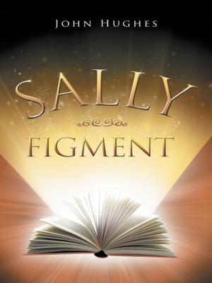 Cover of the book Sally Figment by Ian Trust