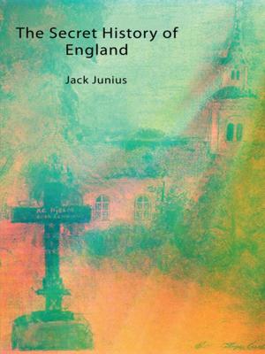 Cover of the book The Secret History of England by Jordan Dumer