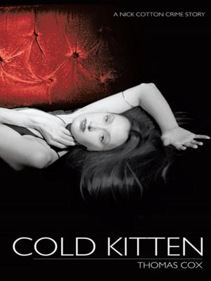 Cover of the book Cold Kitten by Christine A. Hovliaras