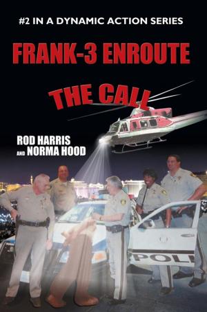 Cover of the book Frank-3 Enroute by Leigh Hiott