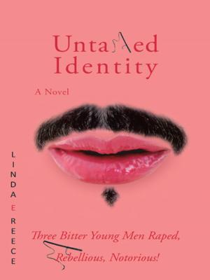 Book cover of Untamed Identity