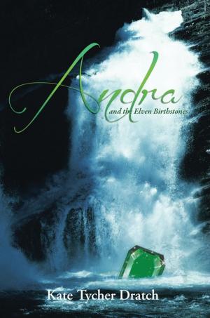 Cover of the book Andra and the Elven Birthstones by SAMUEL L. HAMPTON SR.