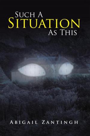 bigCover of the book Such a Situation as This by 