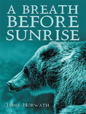 Book cover of A Breath Before Sunrise