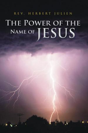 Cover of the book The Power of the Name of Jesus by Tera Ab Ankhnu Feaster