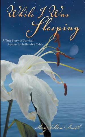 Cover of the book While I Was Sleeping by Frank PN Adjei-Mensah