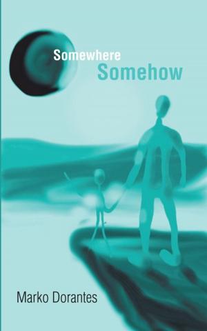 Cover of the book Somewhere Somehow by Steven Scott