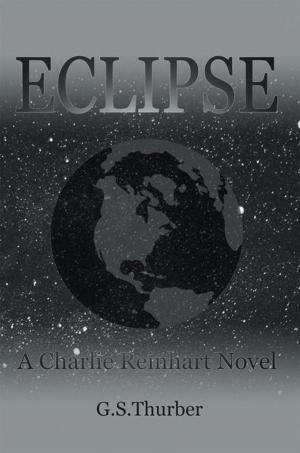 Cover of the book Eclipse by George D. King