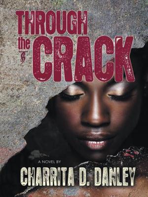 Book cover of Through the Crack