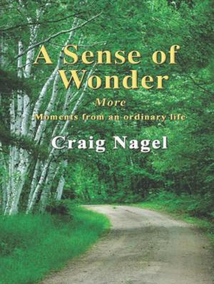 Cover of the book A Sense of Wonder by Ben Kraieski