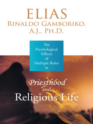 Cover of the book The Psychological Effects of Multiple Roles in Priesthood and Religious Life by Mildred I Sosa