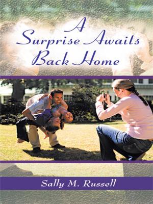 Book cover of A Surprise Awaits Back Home