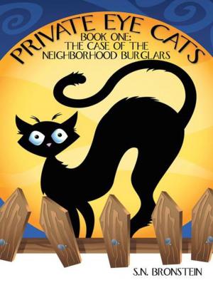 Cover of the book Private Eye Cats by R. Lieb