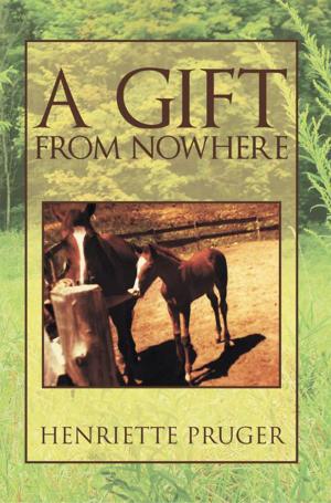 Cover of the book A Gift from Nowhere by Alvin J. Green