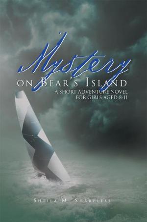 Cover of the book Mystery on Bear's Island by John Ryan