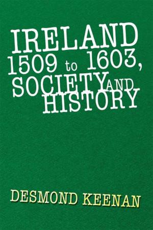 bigCover of the book Ireland 1509 to 1603, Society and History by 