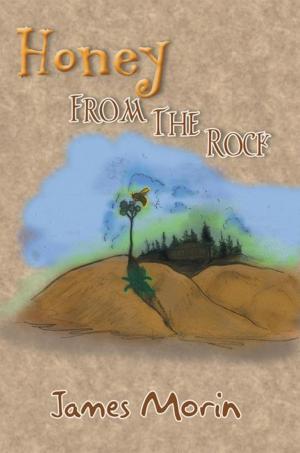 Cover of the book Honey from the Rock by Peter Eta