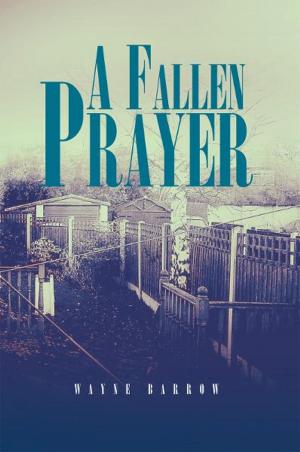 Book cover of A Fallen Prayer
