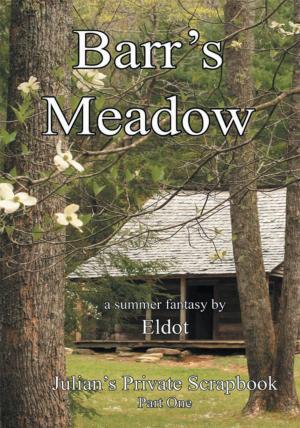 Book cover of Barr's Meadow