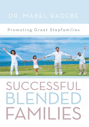 Cover of the book Successful Blended Families by Paul Phillips