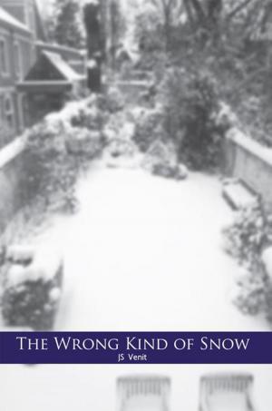 Cover of the book The Wrong Kind of Snow by Diane Smith, Mark C. Overton, Rodney Perry