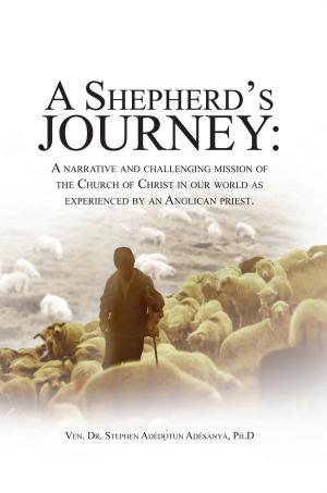 Cover of the book A Shepherd's Journey by Philip Goodall