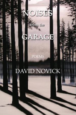Cover of the book Noises from the Garage by Gene Gomolka