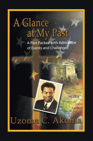 Cover of the book A Glance at My Past by Mr. Calvin Adams