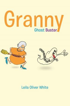 bigCover of the book Granny Ghost Buster by 