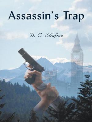 Cover of the book Assassin’S Trap by James Luce