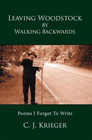 Cover of the book Leaving Woodstock by Walking Backwards by Erik Brandin, Rita Brandin