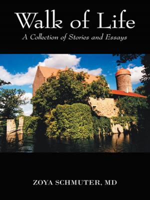 Cover of the book Walk of Life by Mary A Johnson-Castle