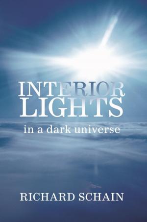 Cover of the book Interior Lights in a Dark Universe by Abe Silverstein