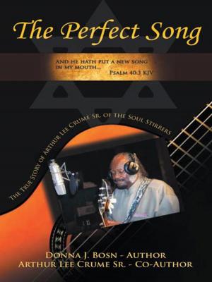 Cover of the book The Perfect Song by Janice Angelique