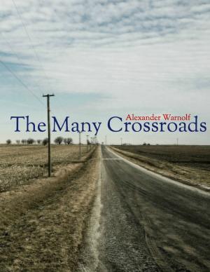 Cover of the book The Many Crossroads by John O'Loughlin