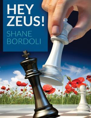 Cover of the book Hey Zeus! by Madelyn R. Bass