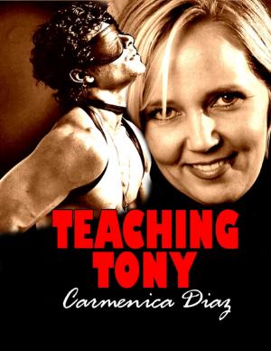 Cover of the book Teaching Tony by Matt Branham