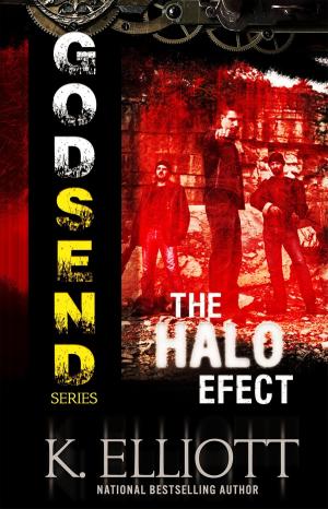 Book cover of Godsend 7: The Halo Effect